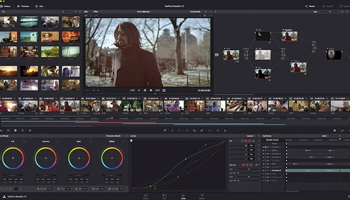 DaVinci Resolve Studio Activation Key