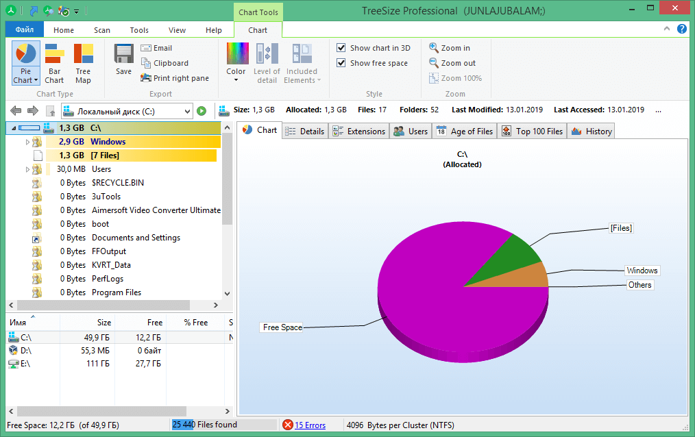 TreeSize Professional License Key