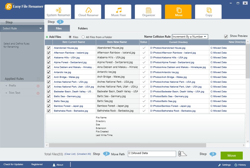 Easy File Renamer License Key