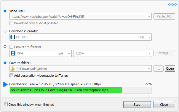 Robin YouTube Video Downloader Pro Key