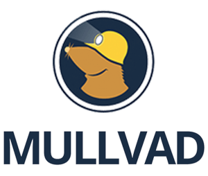 Mullvad VPN Crack